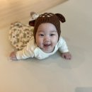 꼬숑.ccoshong 이미지