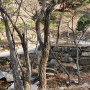 태일공인중개사사무소 이미지