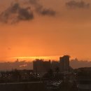 폰카로 사진 잘 찍는 방법 이미지