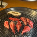정직한고기