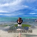 스토어365제주 | 여름제주도여행 추천-직접 다녀온 카페 맛집 포토스팟
