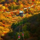 태인컨트리클럽 이미지