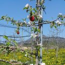 가송농장 이미지