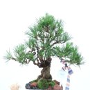 해송한의원 이미지