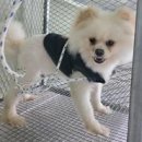 녹산파출소 이미지