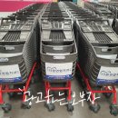 심미연합치과의원 이미지