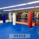 용인대 GX 복싱체육관 이미지