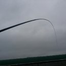 동화낚시터 이미지