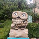 부엉이민박 | 지역별 반려견 동반 숙소