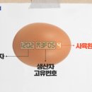 J6061 이미지