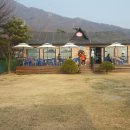 조이애견 이미지