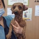 역곡초등학교 이미지