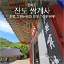 쌍계사 상록수림 | 남도 한달살기 혼자 여행하기 좋은곳 진도 쌍계사