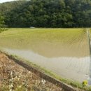 사봉면-3 이미지