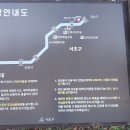 &#34;&#39;입동&#39;(立冬)후 &#39;양재천&#39;과 &#39;여의천&#39; 산책&#34;＜2024.11.08(금)＞ 이미지