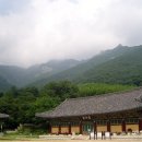 하대동113 이미지