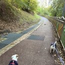 광장로24번길 | [마리의일상]천안 아산 맛집, 두바이 브라우니 + 티젠 콤부차 요거트 후기