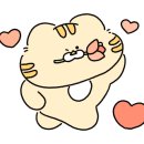 오묘 붙임머리