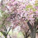 월곡역사공원 이미지