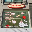 빌리브동물병원 | 청담동미용실 플러피 위치 정보
