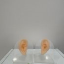 연세보청기센터 이미지