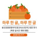 목련6단지 609동 앞 | [귤(꿀)맛집 후기] 용산공원 반환부지(장교숙소5단지 방문 후기(목련 실시간 개화 현황)