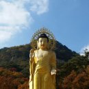 속리산 - 성남시 중원구 시민로117번길 2 | 속리산