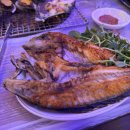 도희 | 청사포 조개구이 맛집, 바다 보며 힐링하기 좋은 도희네 후기