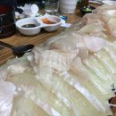 백구회포차