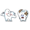 치아 건강의 중요성, 치과 질환의 종류(급성 및 만성 치주염, 충치,치은염,근단주위농양)및 원인,증상,진단,치료,예방(뉴연세치과,서울아산병원.서울성모병원) 이미지