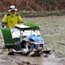 노동하리 이미지