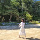 호야야스토어 | 심장....불시착...