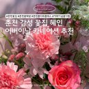 이마트24 춘천평화점 | 춘천꽃집 혜인 어버이날 카네이션 꽃다발 추천
