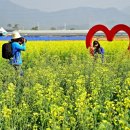 유채하우스 이미지