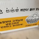 양평 에그팜 | 원에그팜 자연방사 동물복지 무항생제 유정란 난각번호 2번 매일식탁에 오르는 식재료