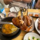 신장충왕족발 | 제주 연동 맛집 30년 전통 제주장충왕족발 후기