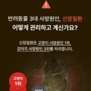 펫이소