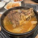 림이의 십일주[12월21일~12월31일]