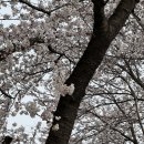 공검초등학교 이미지