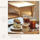 베이크대전 | 대전 빵지순례 소금빵 맛집 콜드버터베이크샵 본점/탄방점 후기 대전맛집