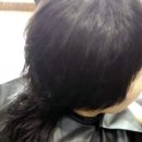 Hairsalon이끌림