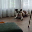 상민한의원 이미지