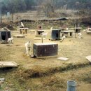 전의농장 이미지