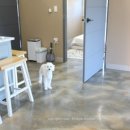 올리버 스테이 이미지