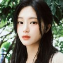 정가이