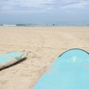 서프베이 이미지