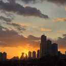 사회복지사 1급 이론 - 사회복지조사론 | 사회복지사1급 : 사회복지조사론