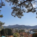 나리목장 이미지