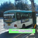 조리읍행정복지센터 앞 사거리 이미지