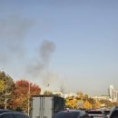 강남미도아파트 불크게난듯 이미지